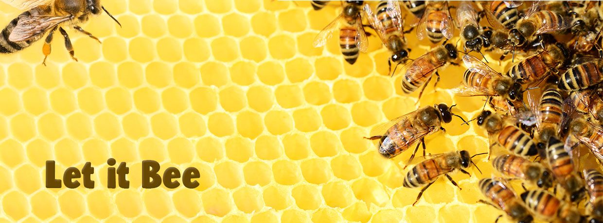 Produits-veto – Bannière de base – Abeilles – Let it Be