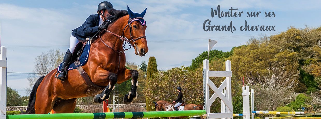 Produits-veto – Bannière de base – Monter sur ses grands chevaux