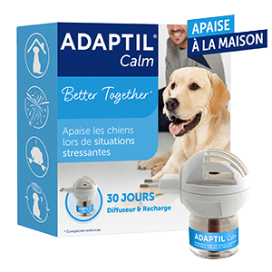 ADAPTIL Calm - Συσκευή Εξάτμισης και Ανταλλακτικό 48 ml - Σκύλος - 30 Ημέρες - Άγχος - CEVA