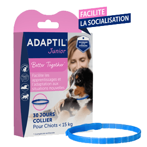 Adaptil Junior - Κολάρο - Στρες & άγχος - Κουτάβι κάτω των 15 kg - CEVA