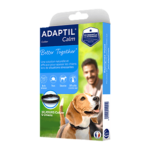 Adaptil Calm - Stress - Chiot et Chien jusqu'à 15 kg - Collier 37,5 cm - CEVA