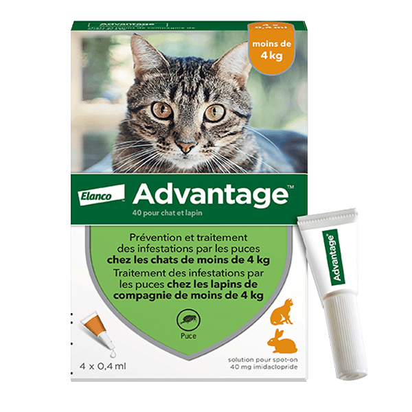 Advantage 40 - 4 x 0,4 ml - Pipettes antiparasitaires chat et lapin - ELANCO