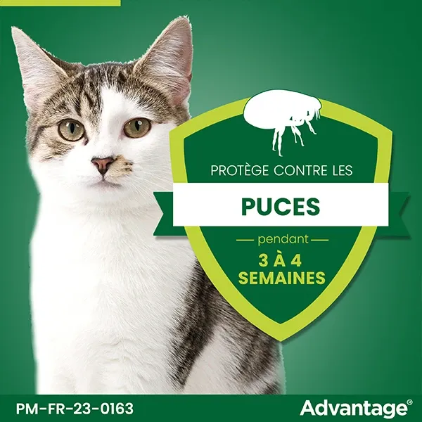 Advantage 40 - 4 x 0,4 ml - Pipettes antiparasitaires chat et lapin - ELANCO 3