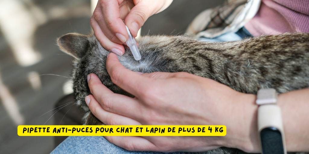 advantage_pipette_chat_lapin_+4kg