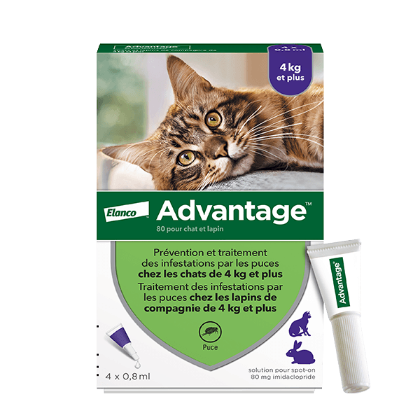 Advantage 80 - 4 x 0,8 ml - Pipettes antiparasitaires chat et lapin - ELANCO