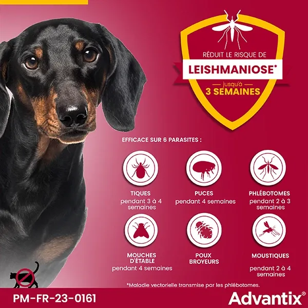 ADVANTIX Petit chien - Anti puce - 4 à 10 kg - 1,0 ml - 4 Pipettes - ELANCO 3