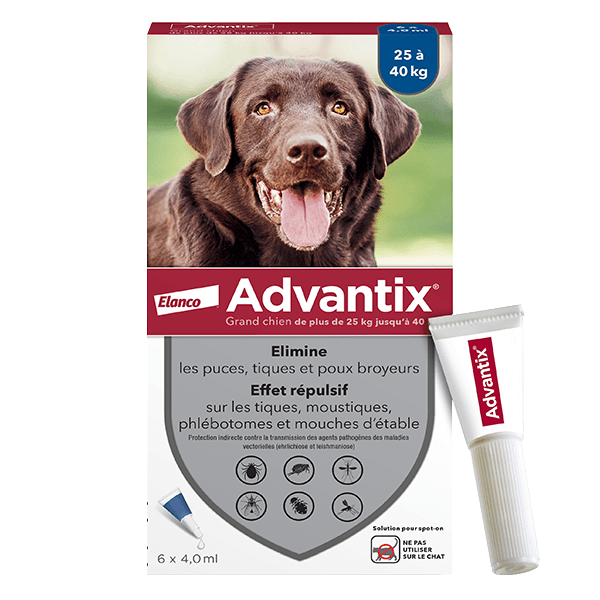 ADVANTIX Grand chien - Anti puce - 25 à 40 kg - 4,0 ml - 6 pipettes - ELANCO