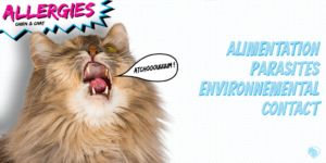 Allergies chez le Chien et le Chat - Une de l'Article - Produits-veto.com