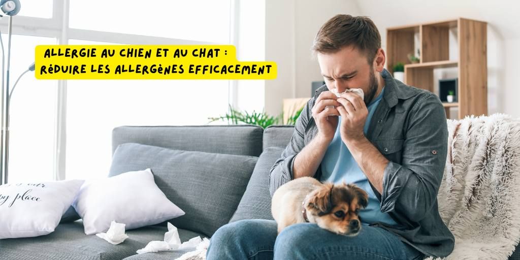 Allergie_au_chien_chat_vetriderm_produits-veto