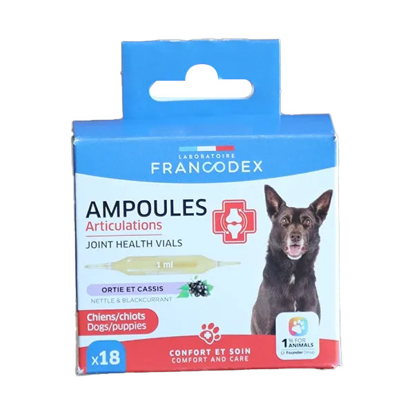 Ampoules pour les articulations du chien - 18 ampoules - FRANCODEX