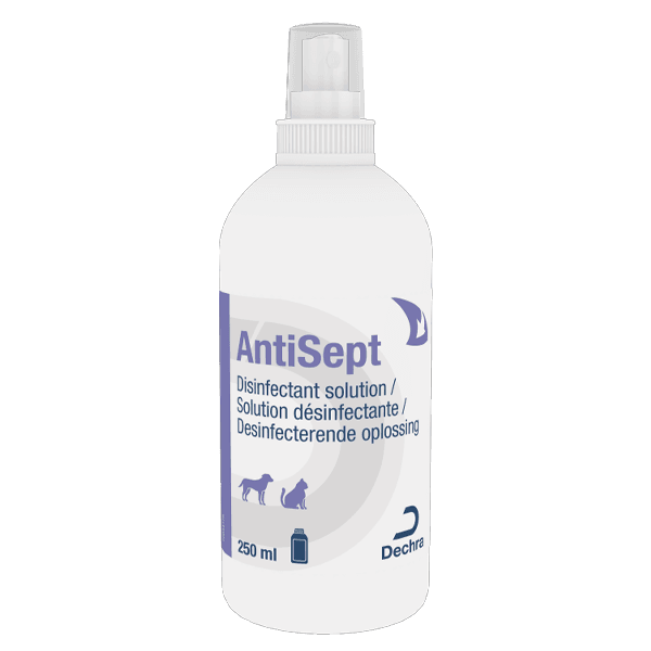 Antisept - Solution désinfectante - Chien et chat - 250 ml - DECHRA