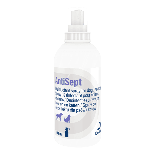 Antisept - Spray désinfectant - Chien et chat - 100 ml - DECHRA