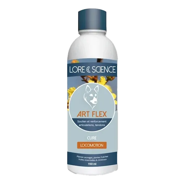 Art Flex Dog - Cartilages et tendons du chien de sport - 150 ml - LORE & SCIENCE