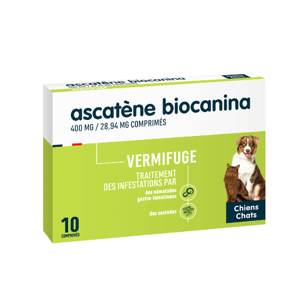 Ascatène - 400 mg / 28,94 mg - Vermifuge pour chien et chat - BIOCANINA