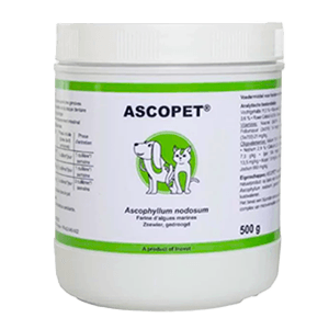Ascopet - Coprophagie du chien et du chat - 500 g - BIOVÉ INOVET
