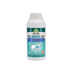 Balsamic Air - Atemwege - Pferd - 500 ml - AUDEVARD