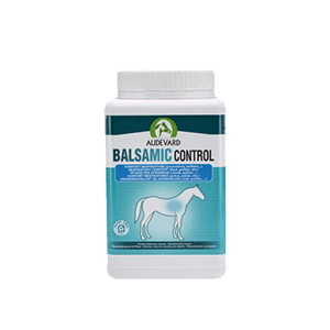 Balsamic Control - Komfort für die Atemwege - 2 kg - AUDEVARD
