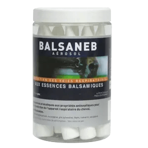 Balsaneb - Aérosol - Soin de l'appareil respiratoire du cheval - Nébulisation - 14 x 10 ml - GREENPEX