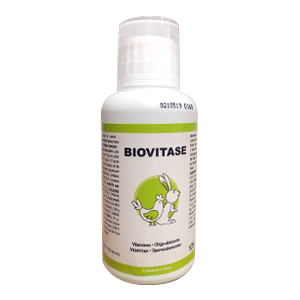 Biovitase - Vitamines et Oligo-éléments - 125 ml - BIOVÉ INOVET