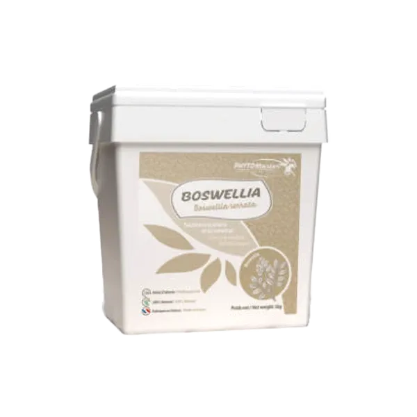 Boswellia Serrata - Soutien articulaire du cheval - 1 kg - PHYTO MASTER