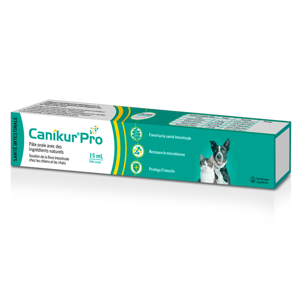 Canikur Pro - Flore intestinale - Seringue de 15 ml - Chat et chien - BOEHRINGER INGELHEIM
