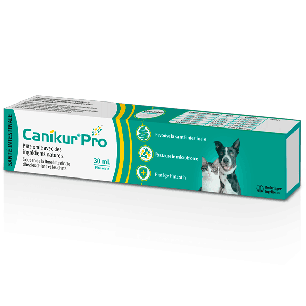 Canikur Pro - Flore intestinale - Seringue de 30 ml - Chat et chien - BOEHRINGER INGELHEIM