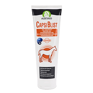 Capsiblist - Gel chauffant - Tendons et articulations - 250 ml - AUDEVARD
