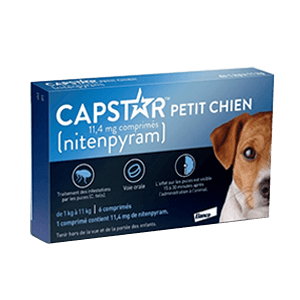 Capstar Chien 11,4 mg - Elimation rapide des puces chez le chien - ELANCO