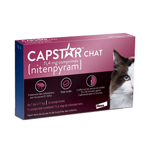 Capstar Chat - Anti-puces efficace et rapide - 11,4 mg - ELANCO