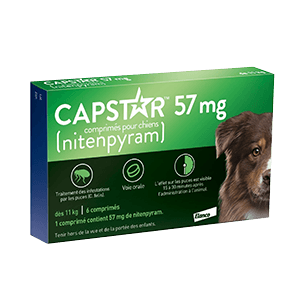 Capstar chien 57mg : anti-puce chien - ELANCO