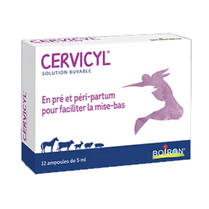 Cervicyl GA - 12 ampoules de 5 mL - BOIRON