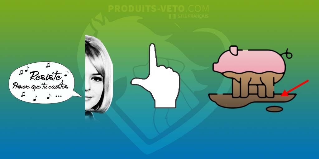 202112 - Gale de boue ou dermatophilose - Rébus - Cheval - Produits-veto.com