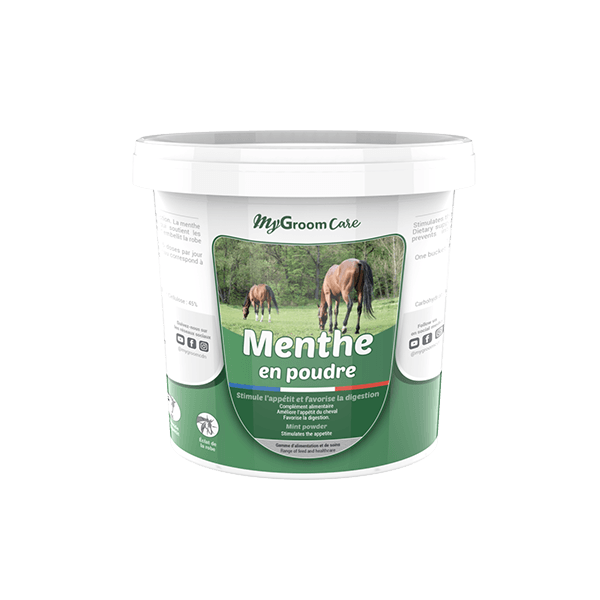 Powdered Mint - Digestion - Horse - 1 Kg - MyGroomCare - CDN HORSE