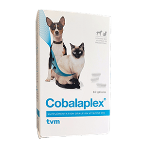 Cobalaplex - Vitamines B12 et B9 - Prébiotiques - Chien / Chat - 60 gélules - TVM