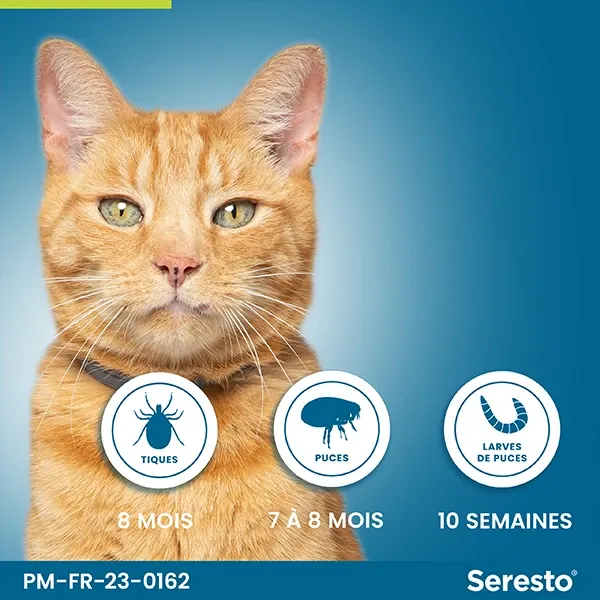 Collier Seresto chat anti-puces - ELANCO 3