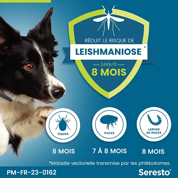 Collier Seresto anti-puces pour grand chien plus de 8 kg - ELANCO 3