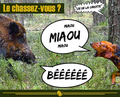 202210 - Miniature Article La Chasse - Produits-veto.com