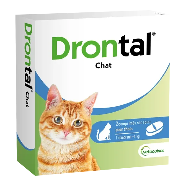 Drontal chat : vermifuge appétent 2 comprimés - VETOQUINOL