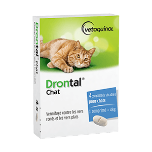 Drontal chat : vermifuge appétent 4 comprimés - VETOQUINOL