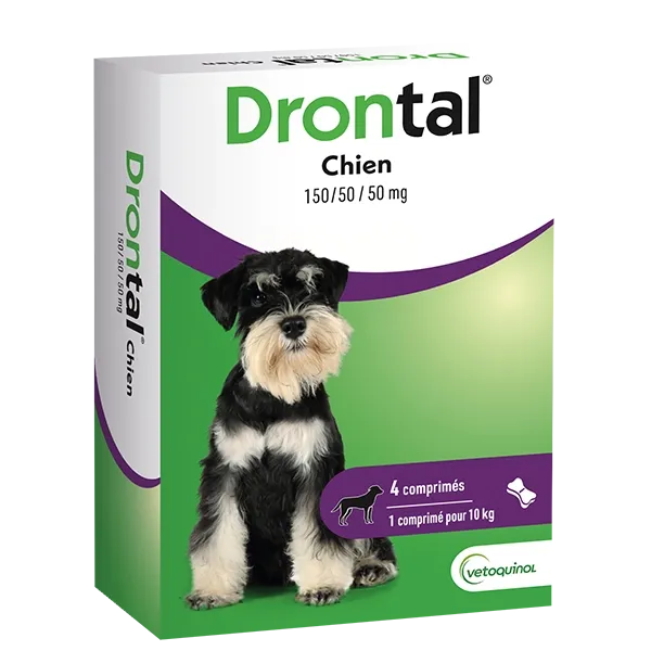 Drontal Chien - Vermifuge chien - 4 comprimés - VETOQUINOL