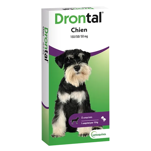 Drontal chien : vermifuge boîte de 6 comprimés - VETOQUINOL