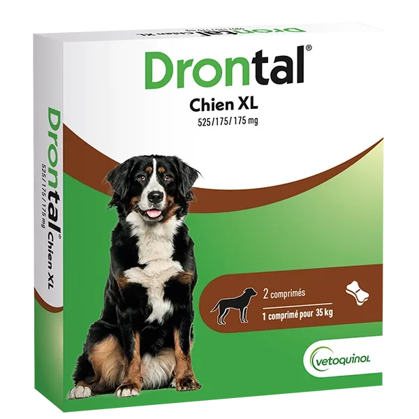Drontal Chien XL : Vermifuge chien appétent - dès 35 kg - VETOQUINOL