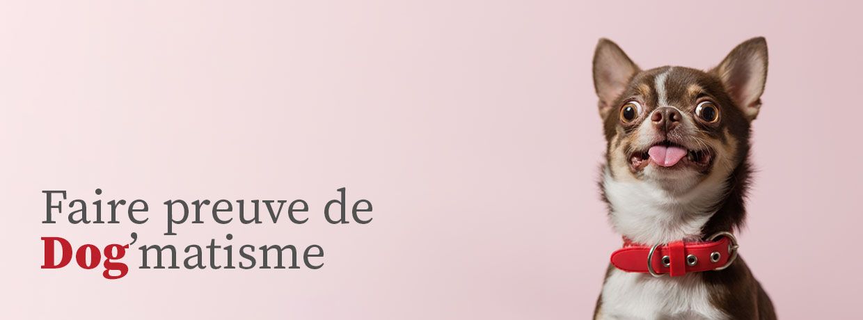Produits-veto – Bannière de base – Dog’matisme