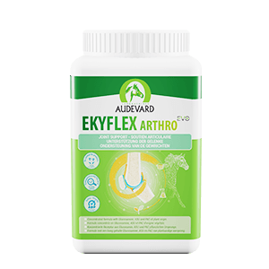 Ekyflex Arthro Evo - Soutien articulaire et Arthrose - Cheval - 900 g - AUDEVARD