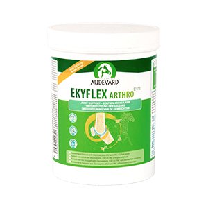 Ekyflex Arthro Evo - Soutien articulaire et Arthrose - Cheval - 450 g - AUDEVARD