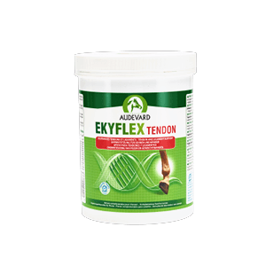 Ekyflex Tendon - Tendini e ligamenti - Cavallo - Vaso da 600 g - AUDEVARD