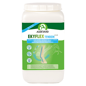 Ekyflex Tendon Evo - Soutien tendon et ligaments - 1,8 kg - AUDEVARD