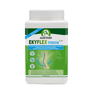 Ekyflex Tendon Evo - Soutien tendon et ligaments - 900 g - AUDEVARD