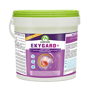 Ekygard + - Gastric protection - Acidity - Horse - 6 kg - AUDEVARD
