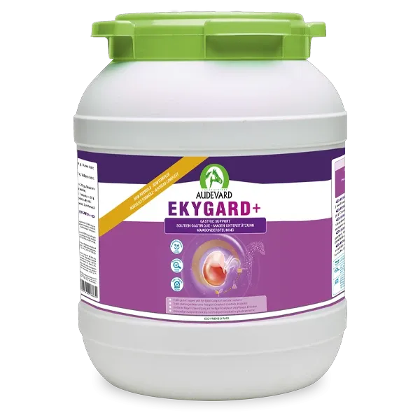 Ekygard + Gastric Protection - Acidity - Horse - 14 kg - AUDEVARD